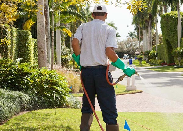 About Maysville NC Pest Control